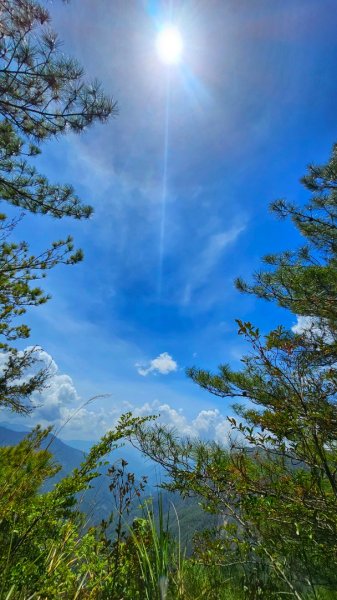 112.04.16 玉山前峰2123759