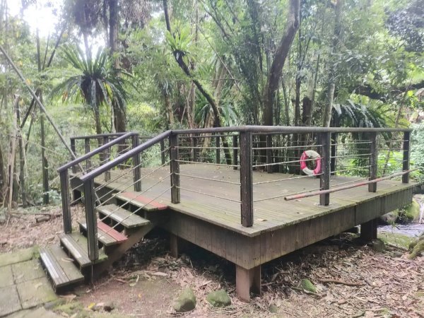 1140830迷糊步道3099564
