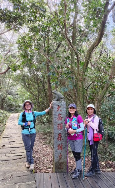 大崙頭尾山2990347