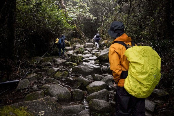 馬來西亞 京那巴魯山 Gunung Kinabalu2756368