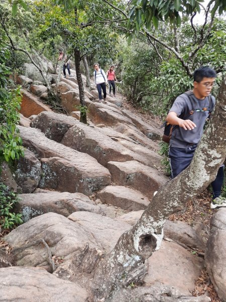 20230408 五指山越野15K賽前探路，隱家拉麵（咖哩），浩客豆花2100992