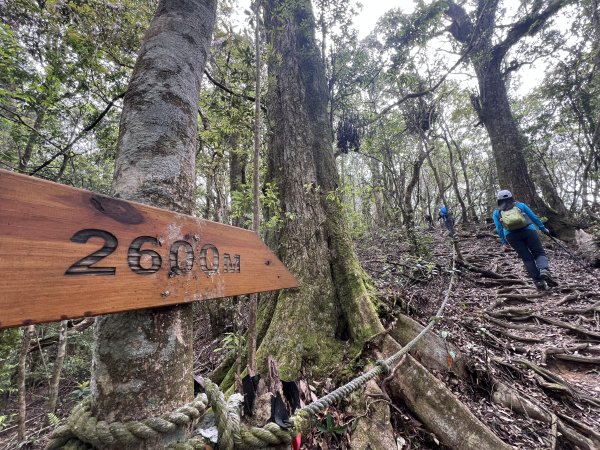 ~  塔  曼  山  ~2782779