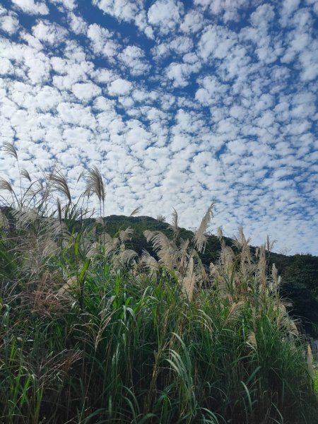 ［面天山］［向天山］［二子坪］的美麗雲彩2349117