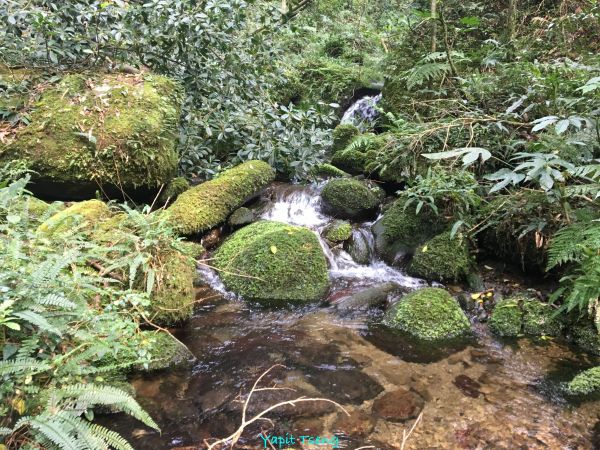 馬武督山 蓮包山 外鳥嘴山 那是山289117
