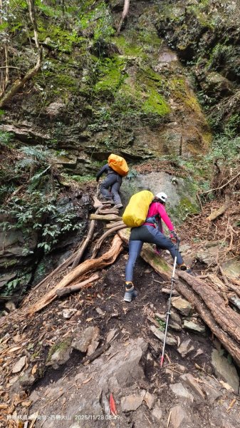 114.11.28-29 雙龍林道~巒安堂~西巒大山2954858