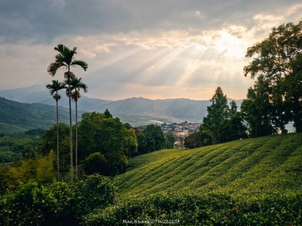 《南投》瀑布茶園｜竹山瑞龍瀑布步道及山坪頂茶山七星步道20260927
