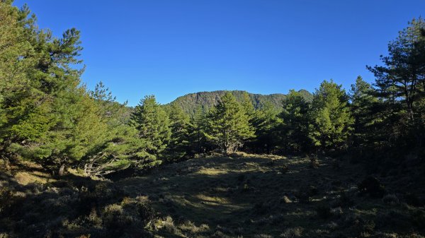 20241124-1130 南二段10座百岳2665488