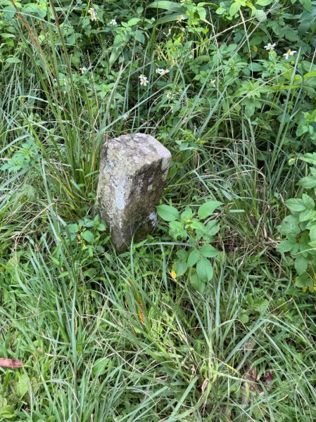 瞭望台-瓊山-望美山-獵人古道2890022