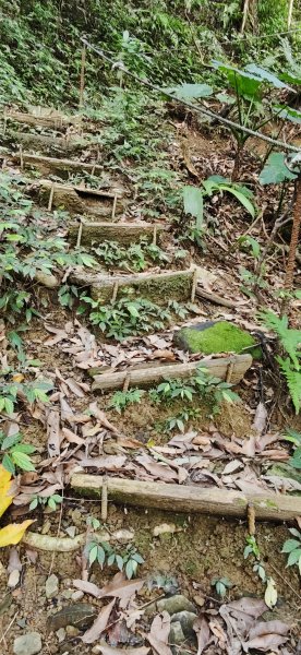 2026-0313 烘爐地步道-南勢角山-紫竹寺3015907