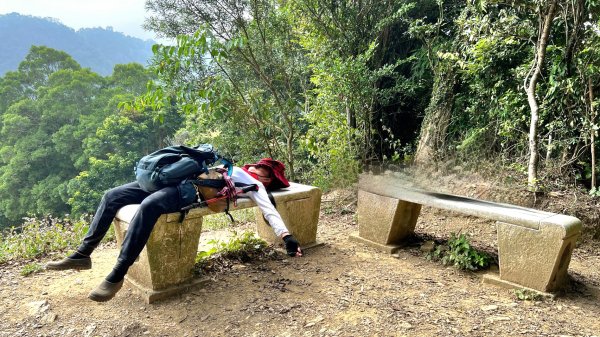 小百岳關刀山889m+銅鑼杭菊1924099