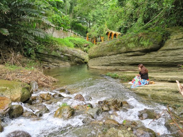 苗栗大湖 伯公潭古圳道1754308