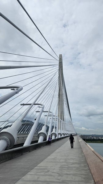 20260515淡江大橋3066080