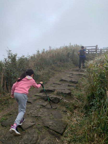 七星山（小百岳）830155