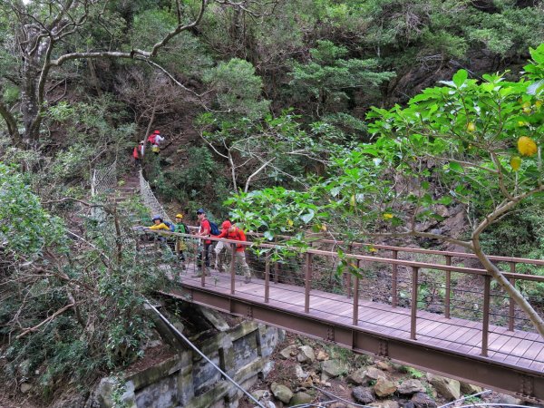 里龍山 悠遊山徑-溪谷-欣賞海天一色美景1486206