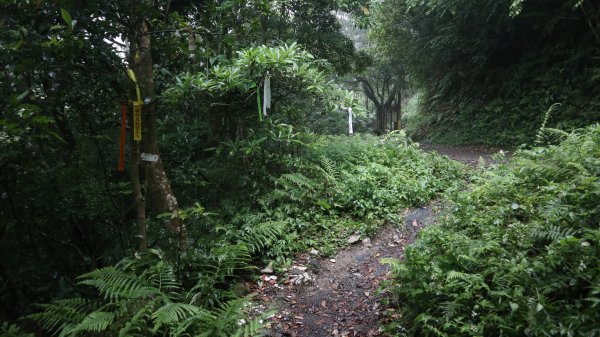 雙石縱走登山健行趣(小百岳24號&25號)2169527