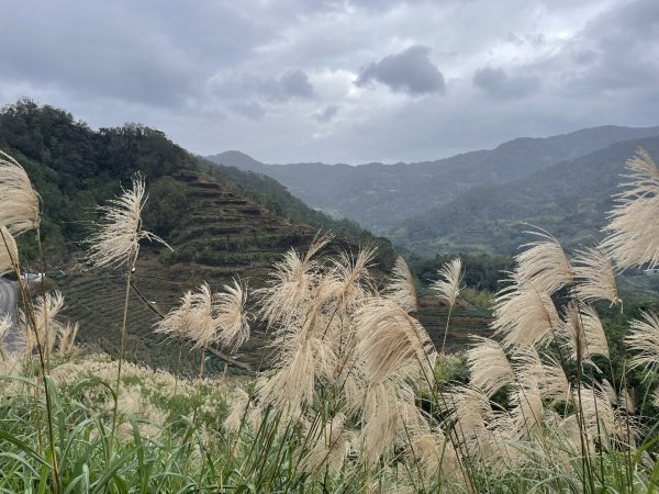 坪林烏窟子山2685885