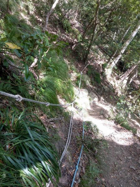 水雲三星之虎子山（虎山）1166525