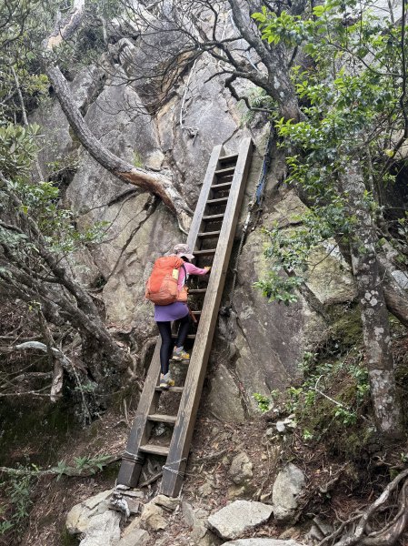 鳶嘴山+稍來神木 202508302873860