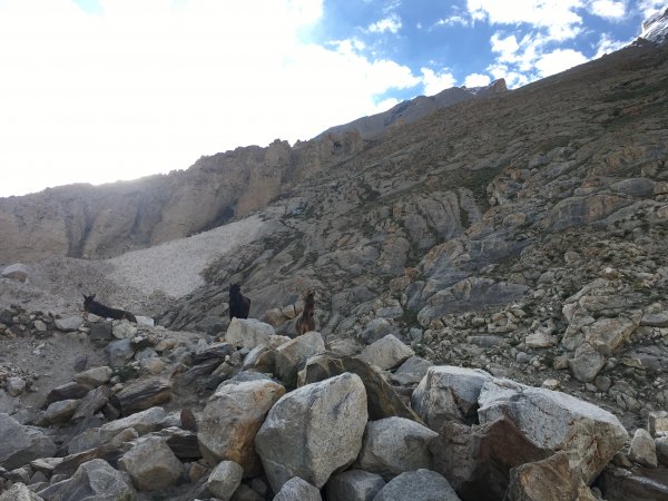 喀喇昆侖山K2基地營健行647881