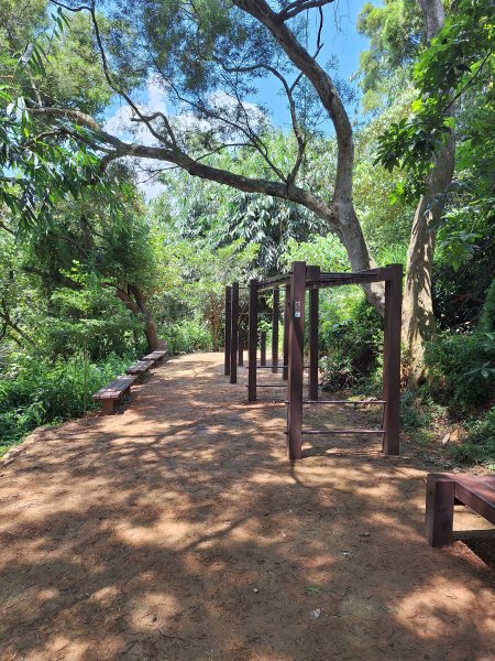 田中麒麟山森林步道202508172862033