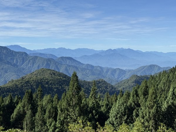 大雪山林道-屋我尾山O繞 202506152816286