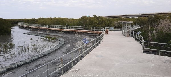 《彰化》海空夕照｜王功燈塔及芳苑海空步道健行賞冬候鳥202601102980257