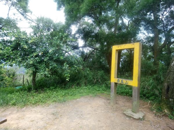 飛鳳山觀日坪古道404116