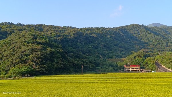 雲山水花鳥蝶 - 天龍國阿伯的日常7/18 & 21、22、292553991