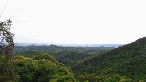 汐止八連路1716776