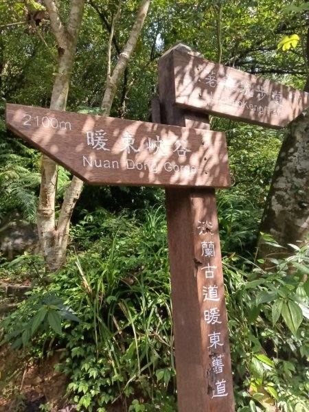 基隆市暖東舊道+頂子寮山+五分山步道(五分山)去回2946194