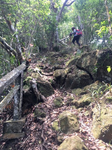 地震後的自然遺跡#47小百岳~九份二山749737