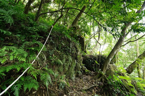 臺北 文山 指南山、猴山岳、魚衡山、大前坑山、猴山坑山、祥光寺後山、金頭山2775000
