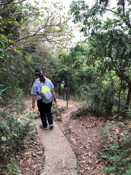 2020.04.02北柴山900713