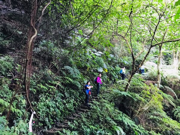 瓏美麗一週一步道（白雞四山）534395