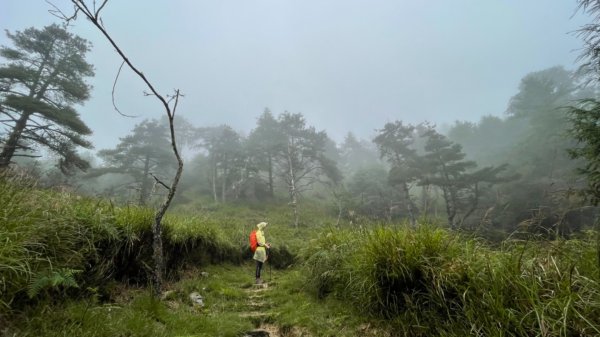 1100810鞍馬山工作站-小雪山資訊站1437540