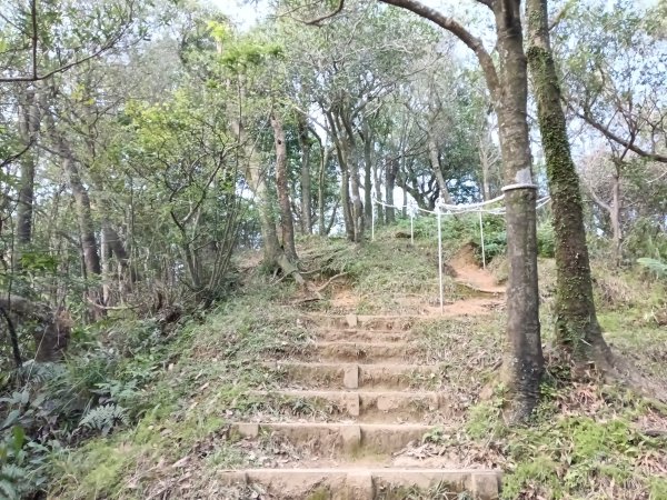 汐止區茄苳越嶺古道+上鹿窟崙山+九層坪山+四分尾山+大尖山8字走2981642