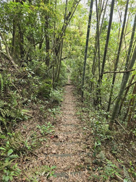 20260516 小百岳-南投集集大山3056248