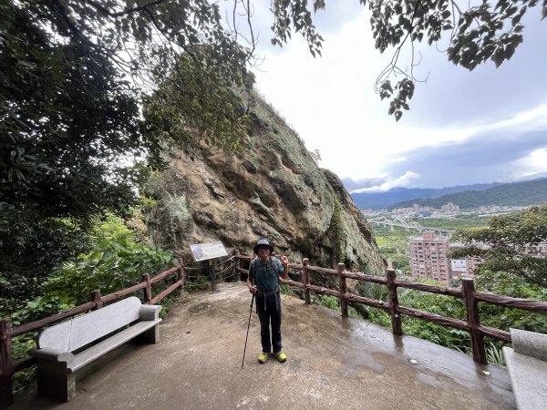 [微笑山線_第二段] 2025_0720 大棟山系_百年大榕樹