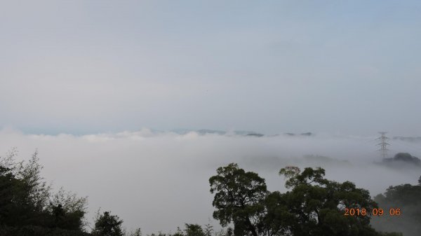 二格公園日出&石碇雲海國小雲海601741