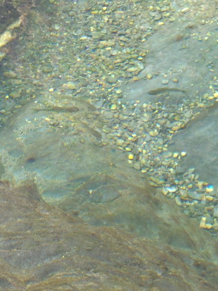 朝聖橋-射鹿部落-高燕部落-旗鹽山-排雲瀑布-沙拉灣瀑布2771048