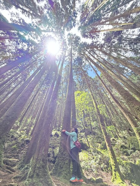 橫嶺山走走避暑趣 2025.6.112815415