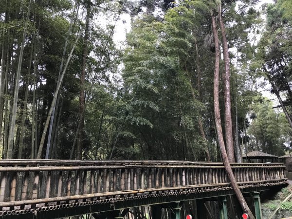 110年4月25日雲林  雲嶺之丘 五元二角 木馬古道1456545