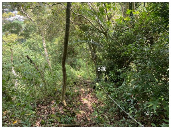 大克山 南稜線A上B下 (卓蘭最高峰)2825495