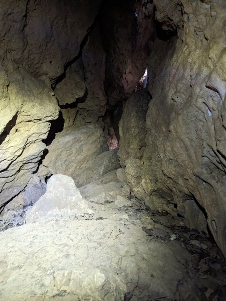 柴山石灰岩洞探洞及秘境2074751