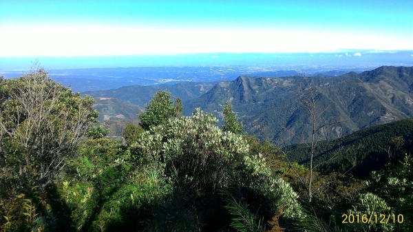 20161210新竹高台山,小中大島田山79298