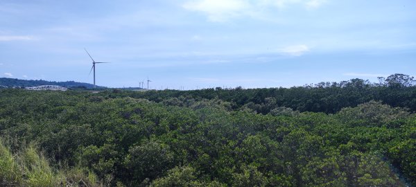 新竹．17公里海岸線202506202833473