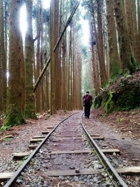 特富野古道