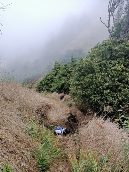 埔里六秀、中部四大名山:守城大山         隊名:鯛魚燒埔里訓練1506125