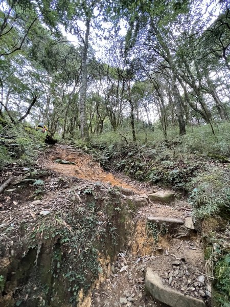 百岳-塔關山2695788