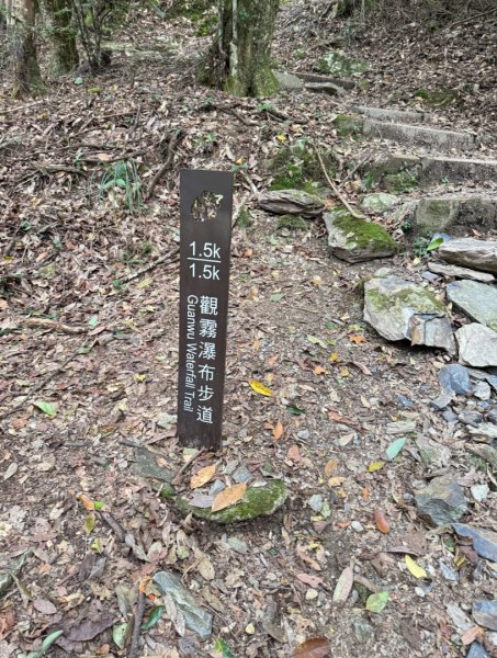 觀霧瀑布 賞鳥步道2926782